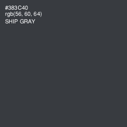 #383C40 - Ship Gray Color Image
